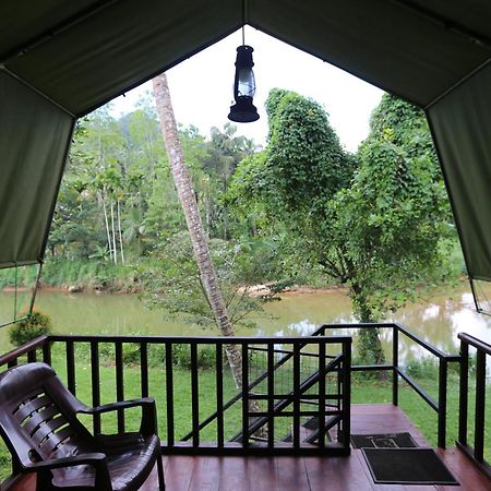 360 Rainforest Deniyaya Exteriér fotografie