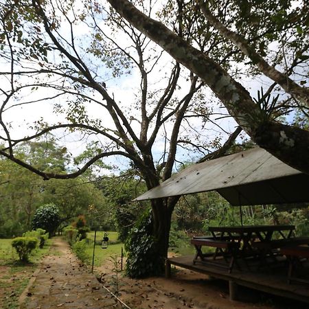 360 Rainforest Deniyaya Exteriér fotografie