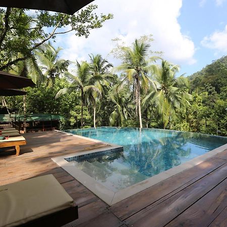360 Rainforest Deniyaya Exteriér fotografie