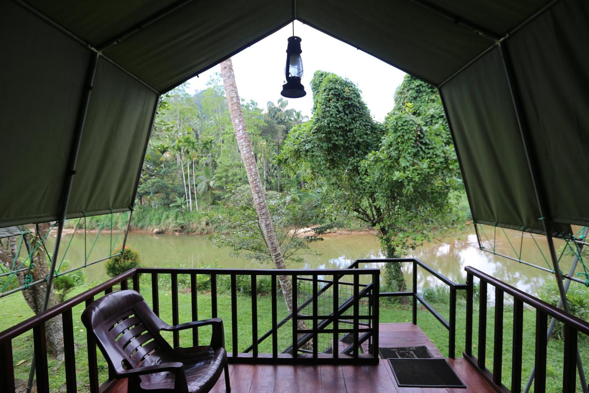 360 Rainforest Deniyaya Exteriér fotografie