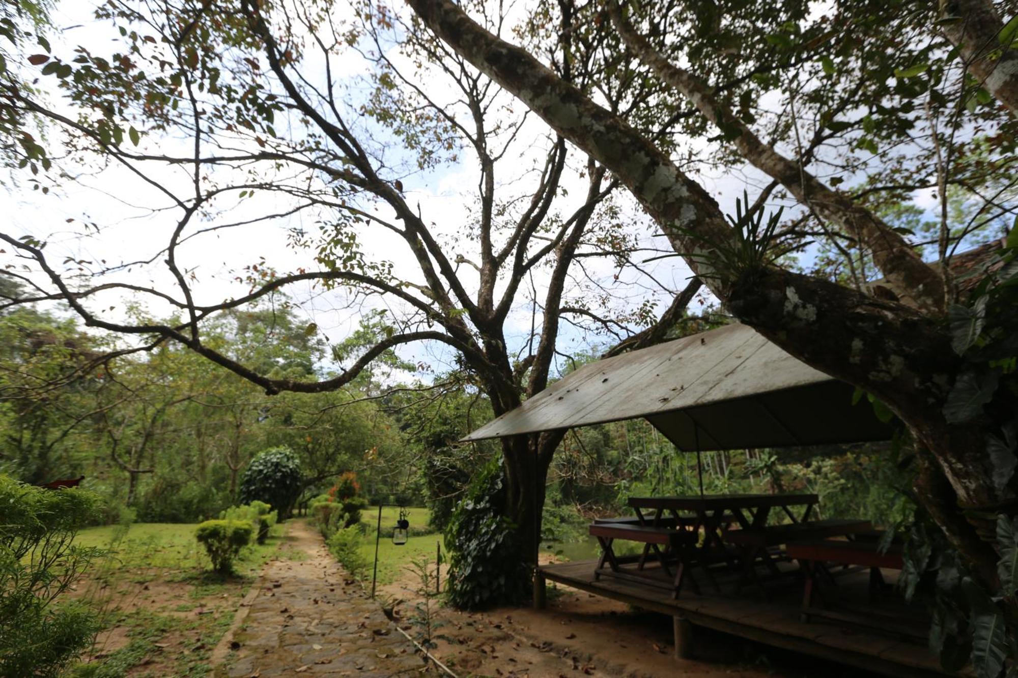 360 Rainforest Deniyaya Exteriér fotografie
