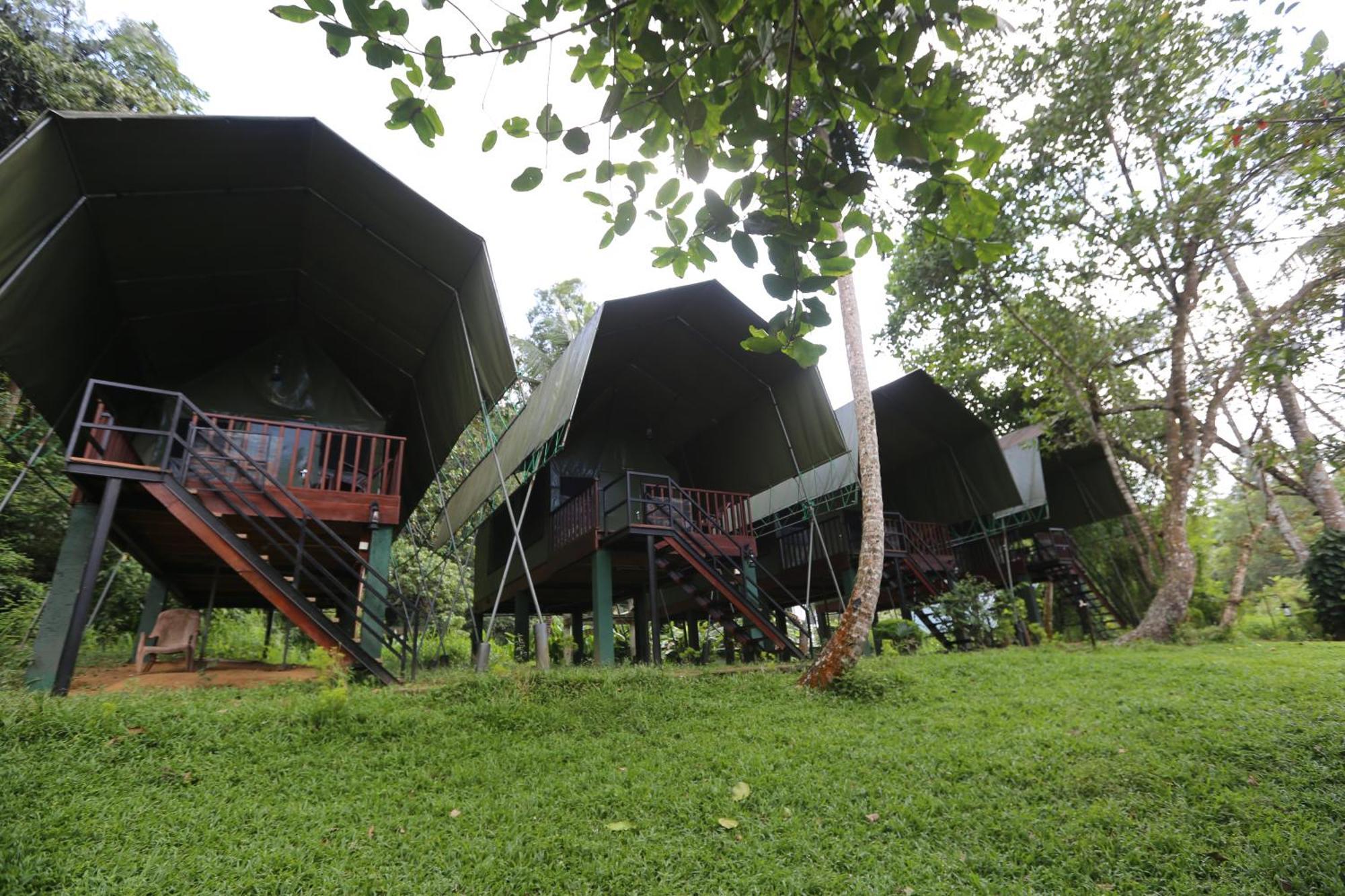 360 Rainforest Deniyaya Exteriér fotografie