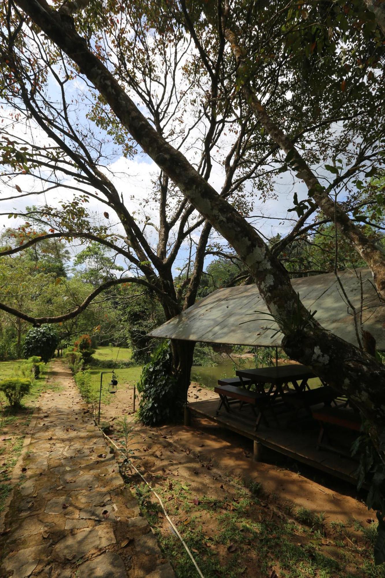 360 Rainforest Deniyaya Exteriér fotografie