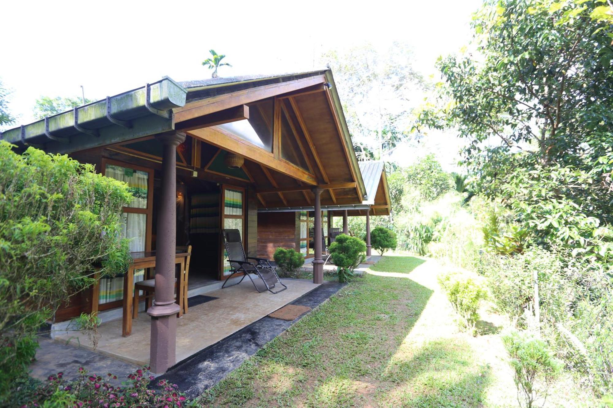 360 Rainforest Deniyaya Exteriér fotografie