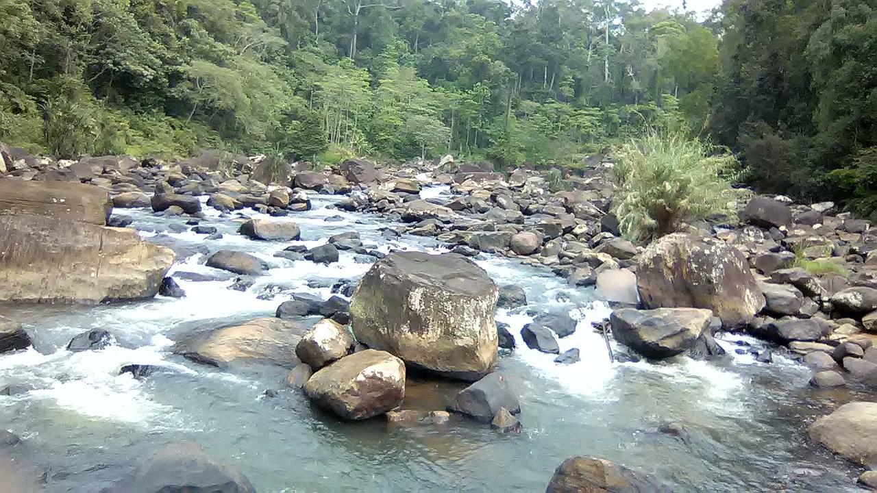 360 Rainforest Deniyaya Exteriér fotografie