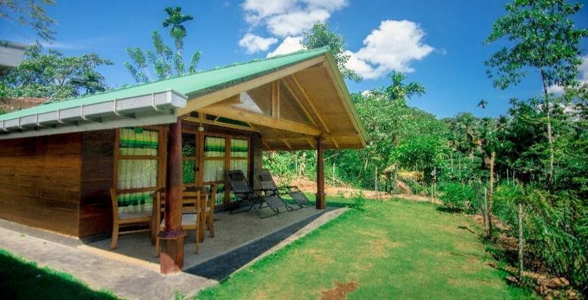 360 Rainforest Deniyaya Exteriér fotografie
