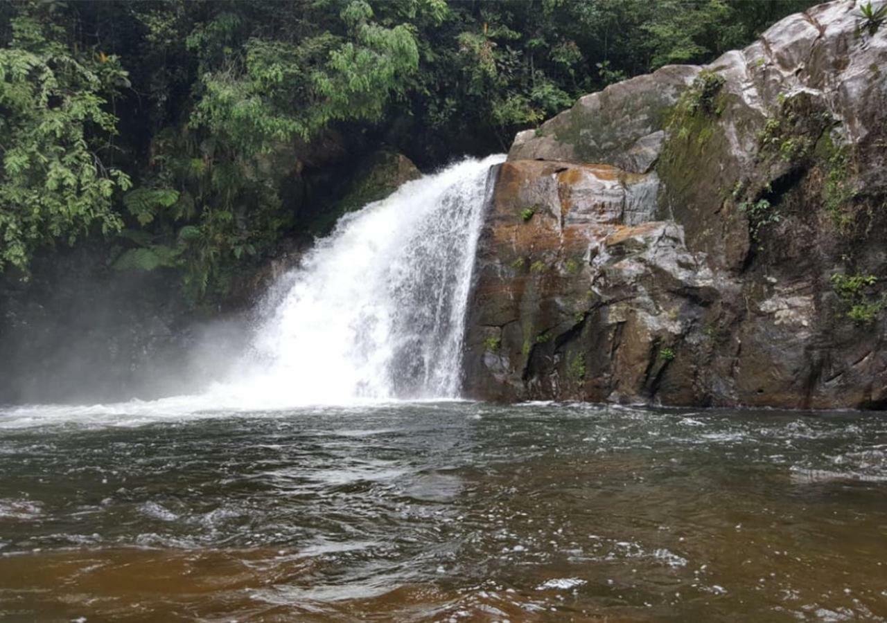 360 Rainforest Deniyaya Exteriér fotografie