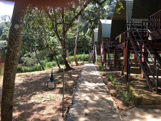 360 Rainforest Deniyaya Exteriér fotografie