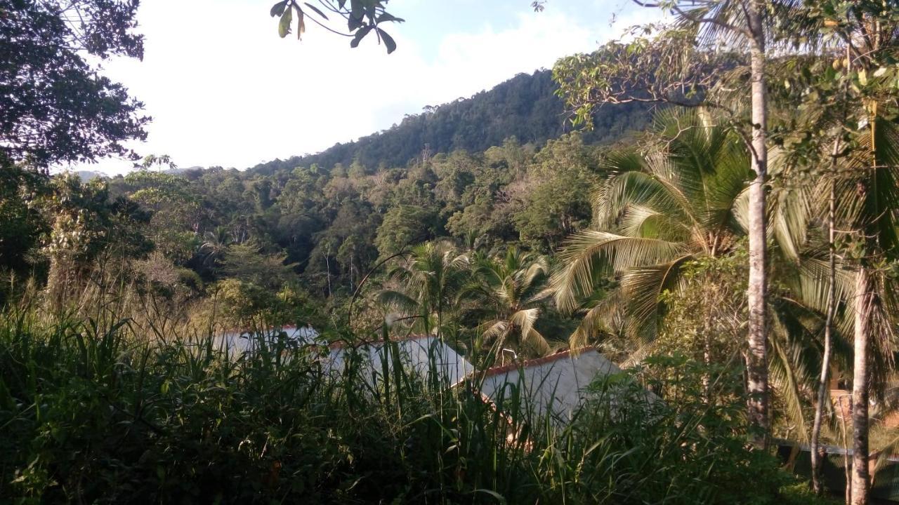 360 Rainforest Deniyaya Exteriér fotografie