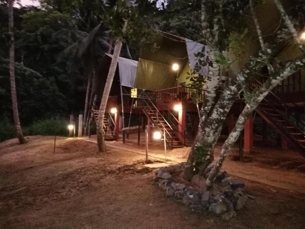 360 Rainforest Deniyaya Exteriér fotografie